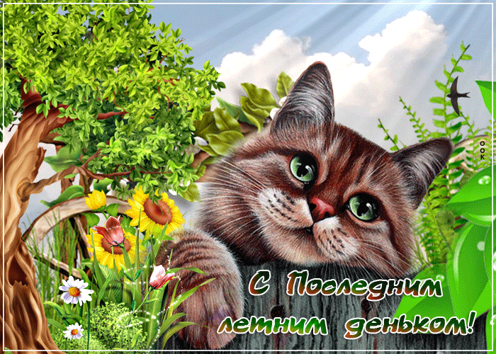Картинка гиф Последний день лета