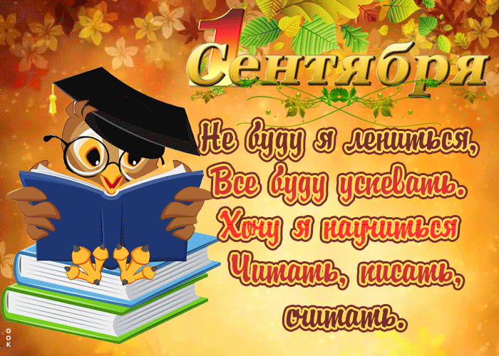 С 1-м Сентября, дорогие коллеги! С 1-м Сентября, дорогие коллеги!