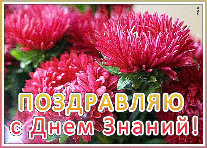 Анимационная картинка 1 сентября Анимационная картинка 1 сентября
