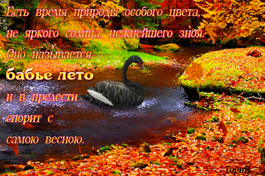 Бабье Лето Картинки Для Детей. Бабье Лето Картинки Для Детей.