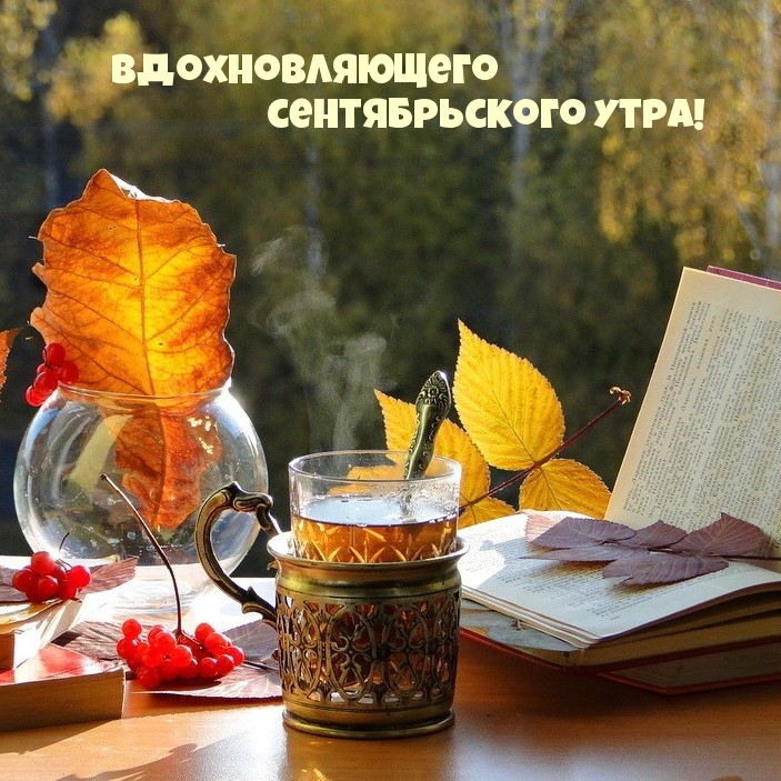 Доброе Утро Картинки Осень Солнечная Природа. Доброе Утро Картинки Осень Солнечная Природа.