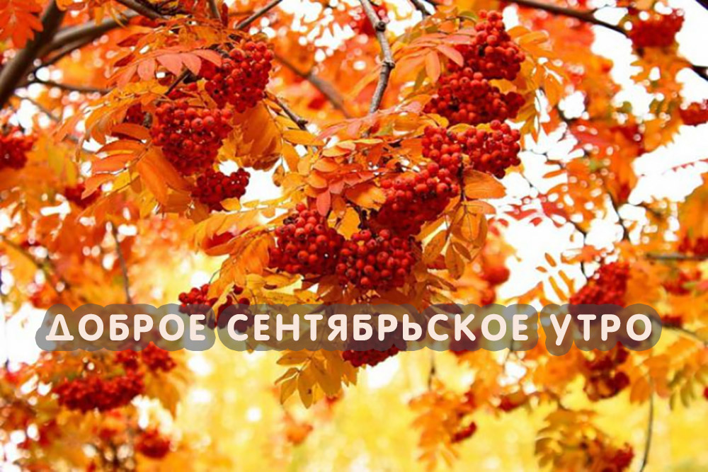 Открытки с добрым сентябрьским утром Открытки с добрым сентябрьским утром