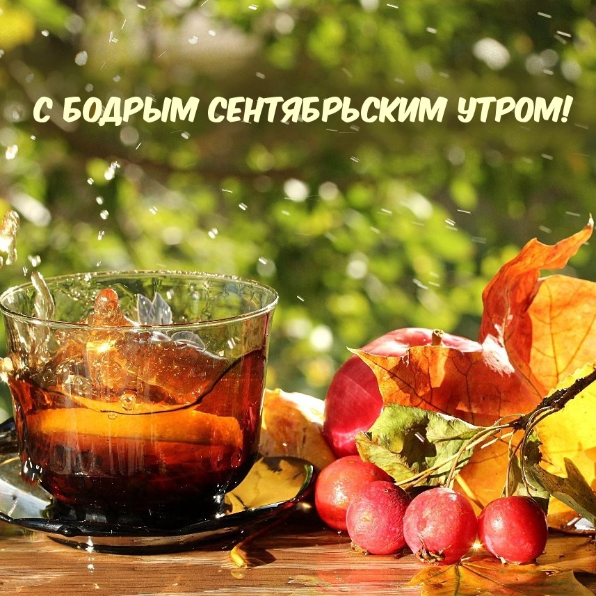 Картинки "С добрым утром сентября" красивые и новые Картинки "С добрым утром сентября" красивые и новые