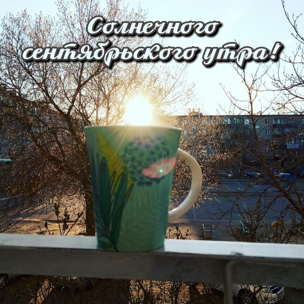 Хостинг картинок yapx.ru