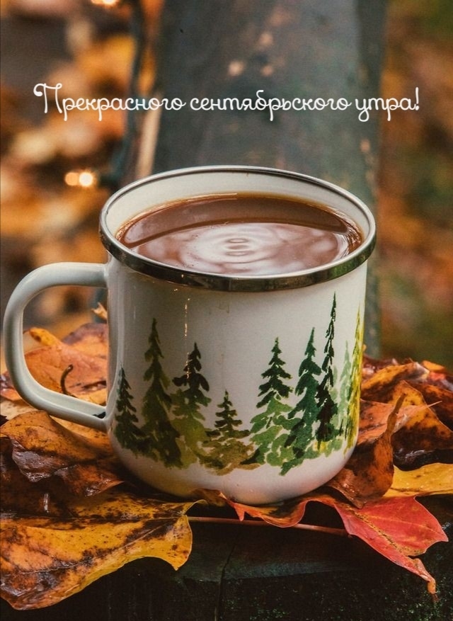 Хостинг картинок yapx.ru