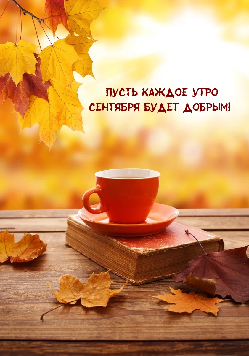 Тематические картинки с пейзажами сентября - именно то, что нужно. Тематические картинки с пейзажами сентября - именно то, что нужно.
