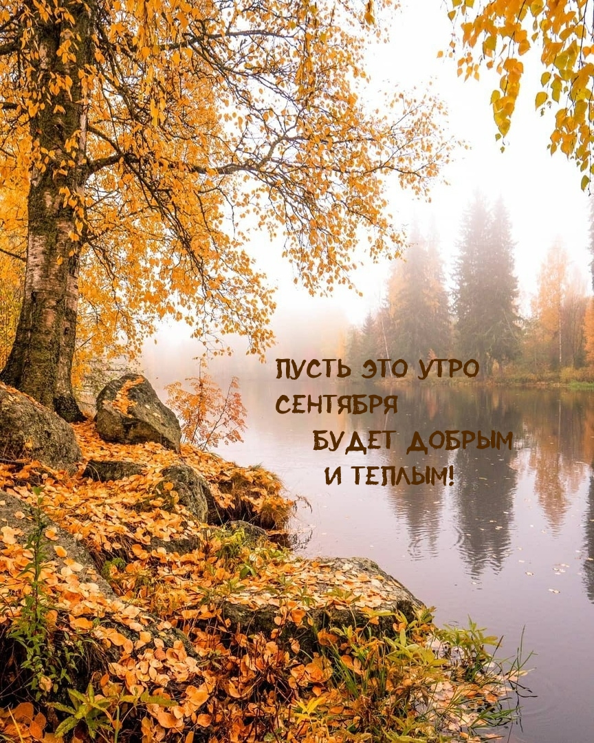 Доброе сентябрьское утро Доброе сентябрьское утро