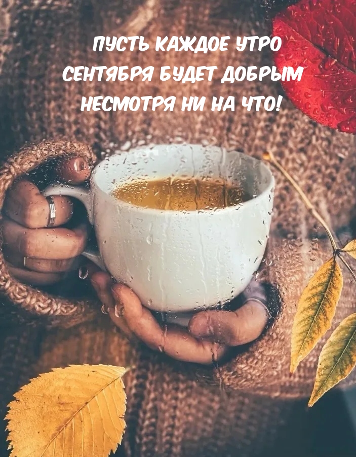 Приветик, сентябрь - милые картинки на утро Приветик, сентябрь - милые картинки на утро
