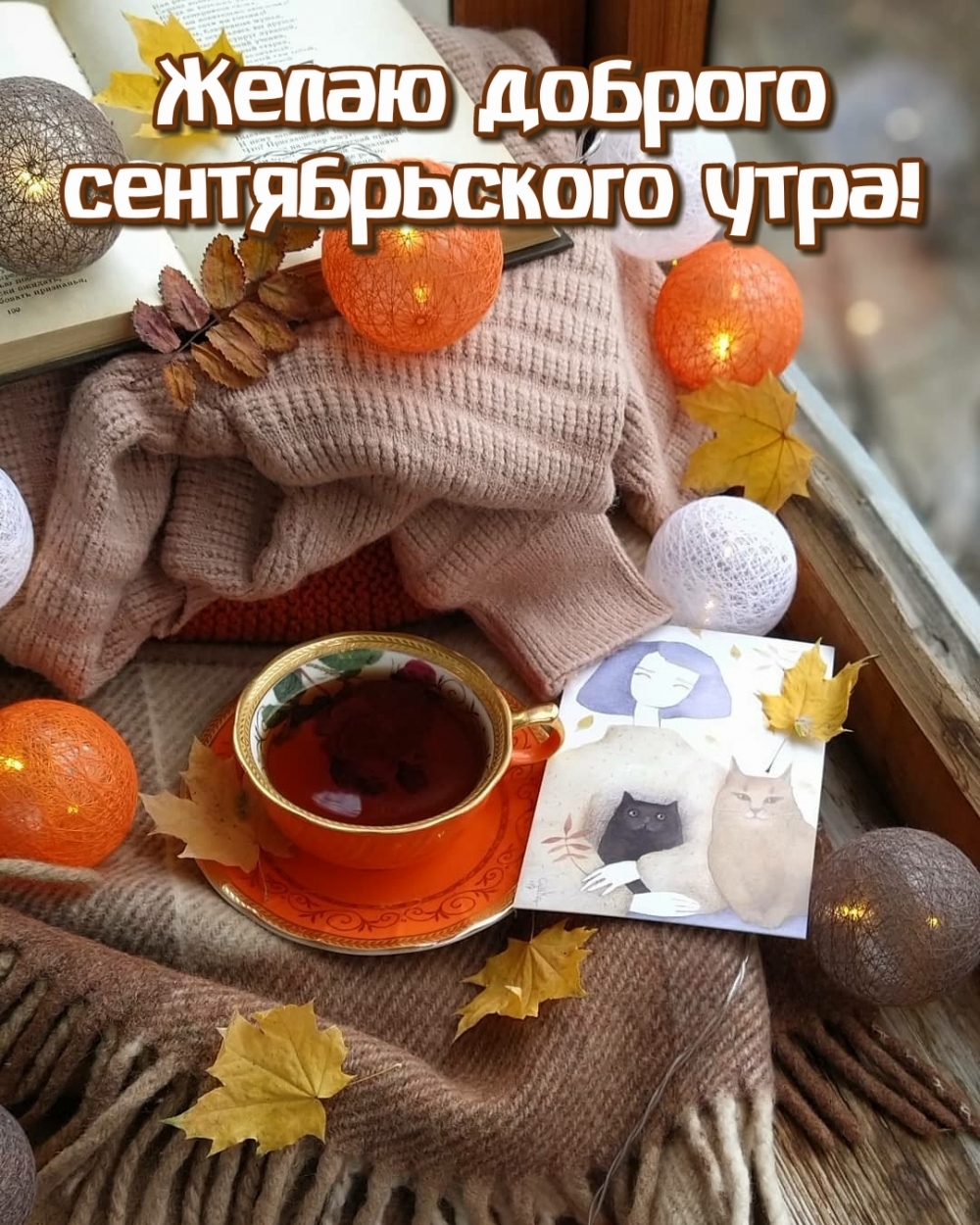 Хостинг картинок yapx.ru