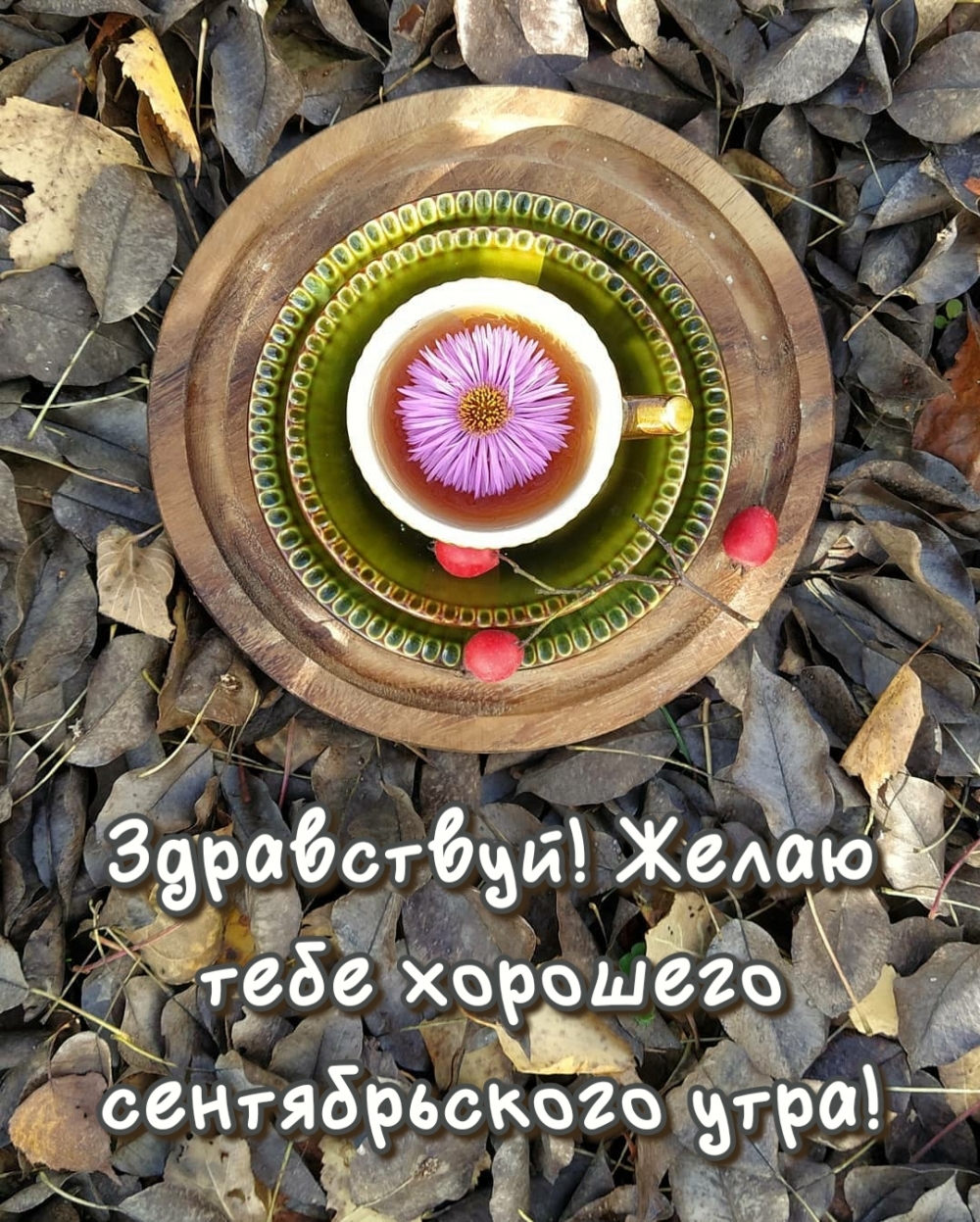 Хостинг картинок yapx.ru