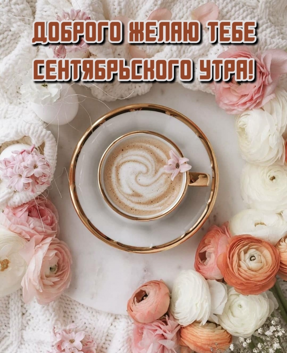 Хостинг картинок yapx.ru