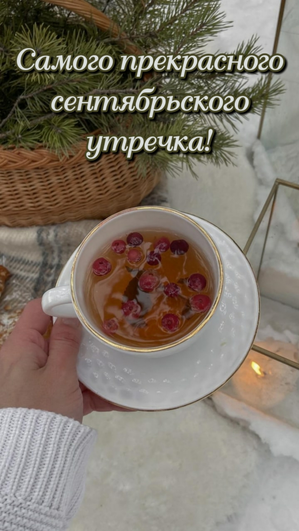 Хостинг картинок yapx.ru