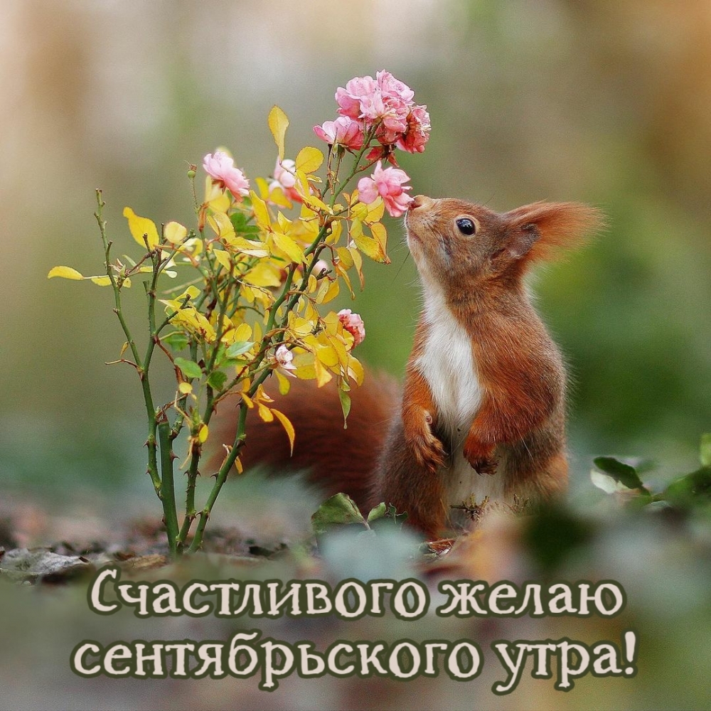 Хостинг картинок yapx.ru
