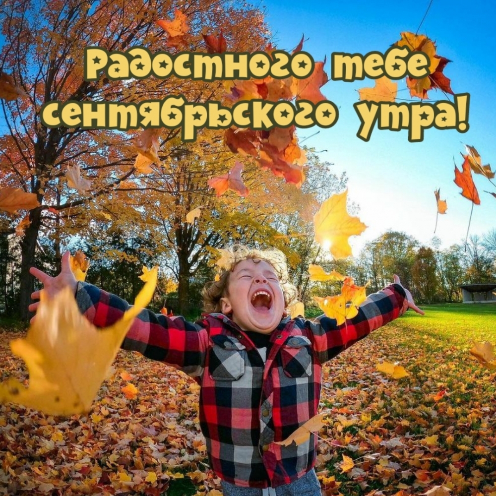 Хостинг картинок yapx.ru