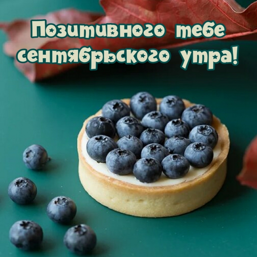 Хостинг картинок yapx.ru