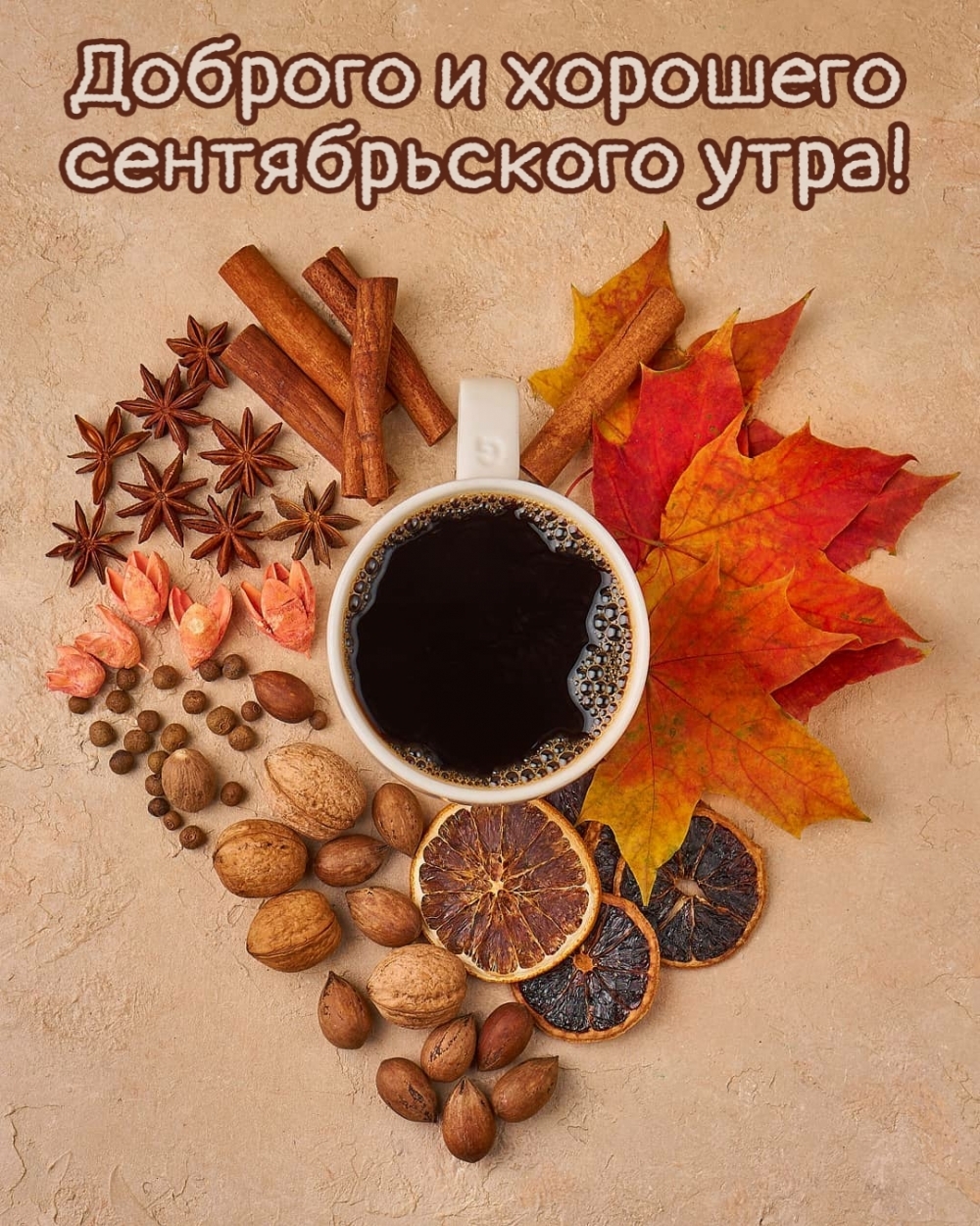 Хостинг картинок yapx.ru