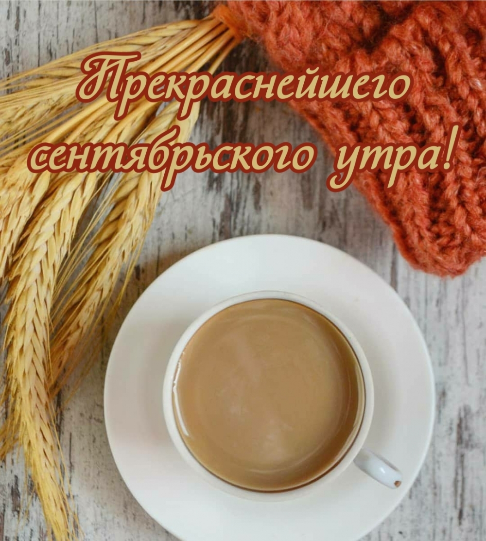 Хостинг картинок yapx.ru