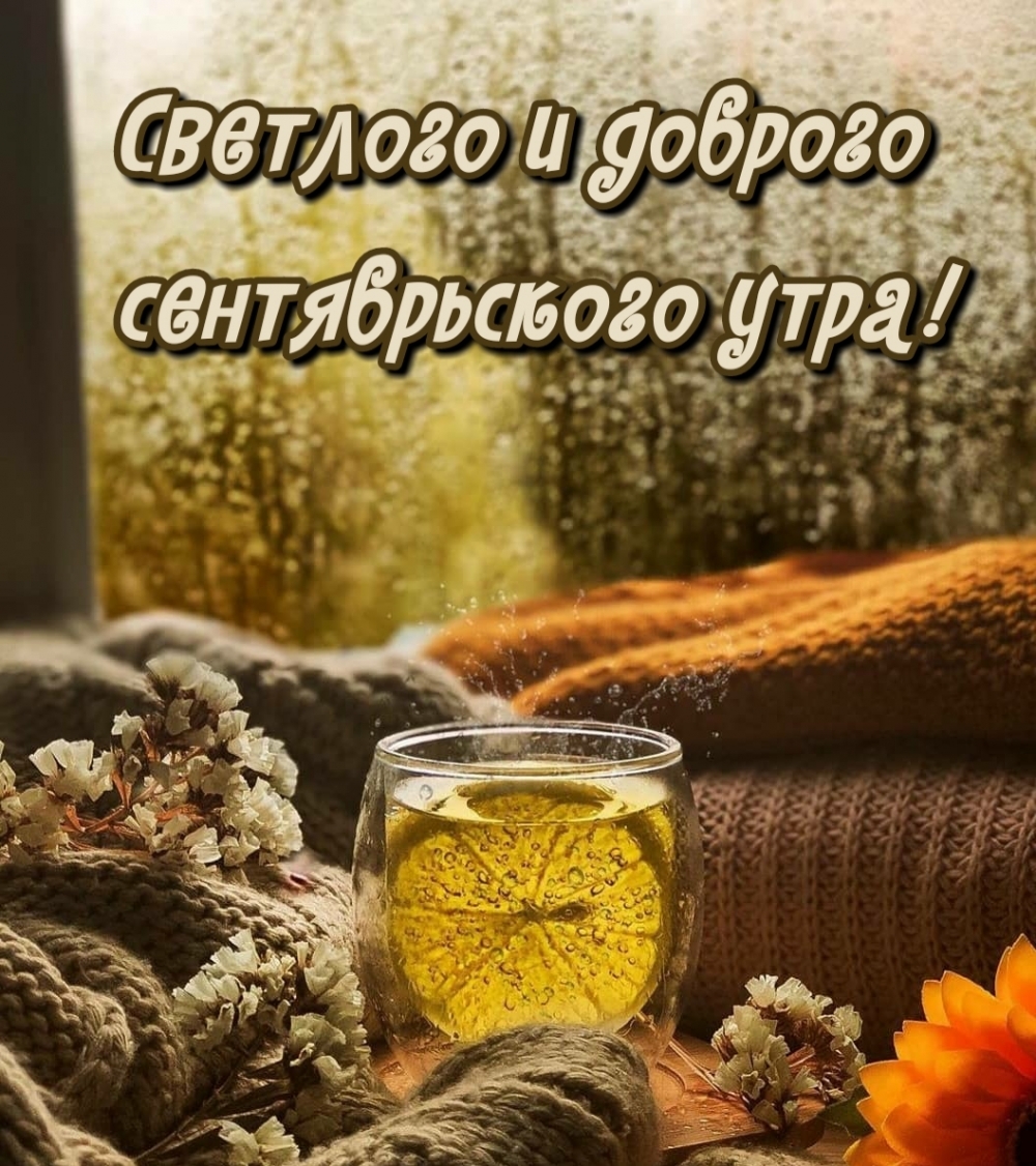 Хостинг картинок yapx.ru
