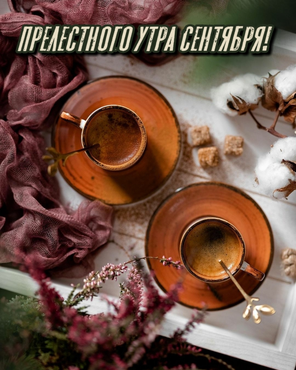 Хостинг картинок yapx.ru