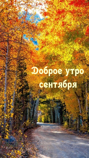 Хостинг картинок yapx.ru
