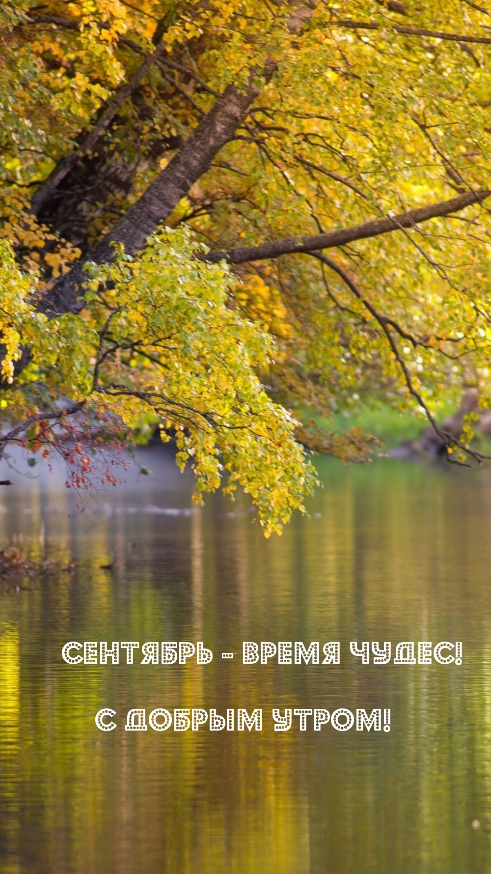 Открытки с добрым осенним утром (100 фото). Открытки с добрым осенним утром (100 фото).