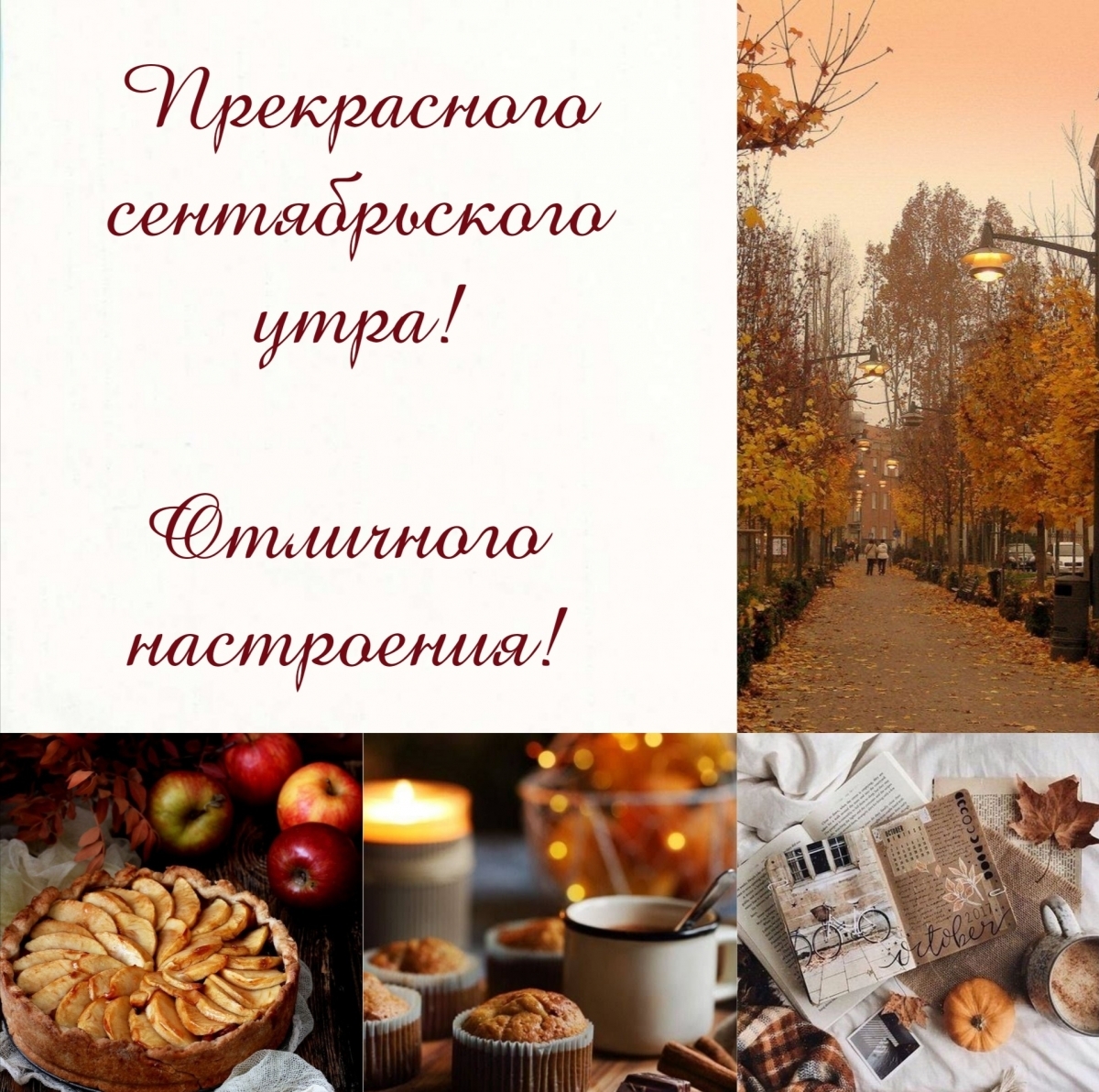 Хостинг картинок yapx.ru