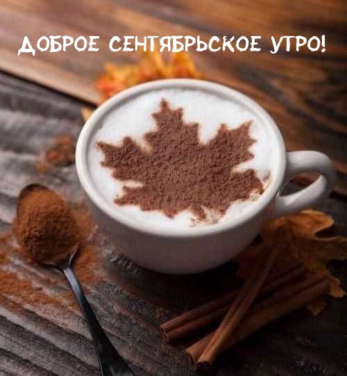 Хостинг картинок yapx.ru