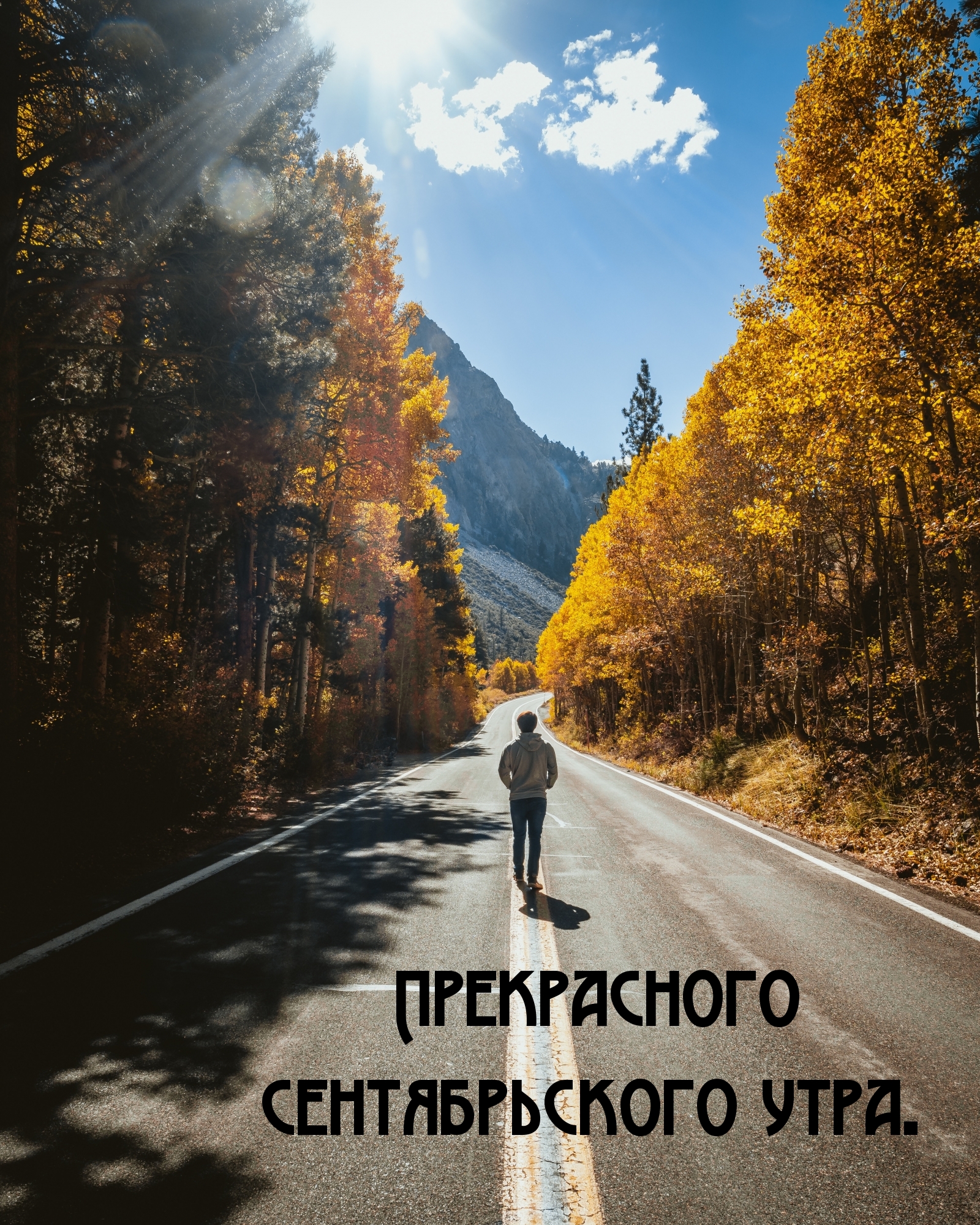 Хостинг картинок yapx.ru