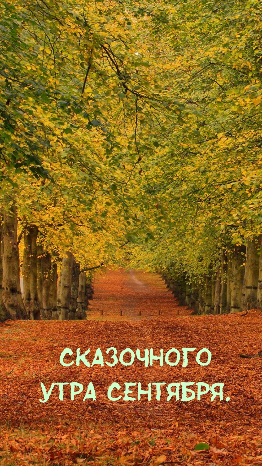 Хостинг картинок yapx.ru