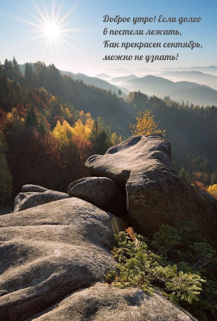 Хостинг картинок yapx.ru
