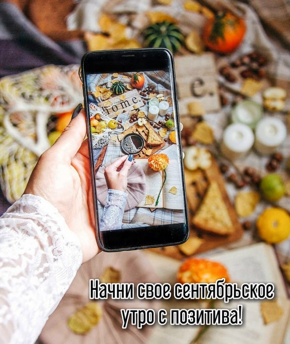 Хостинг картинок yapx.ru