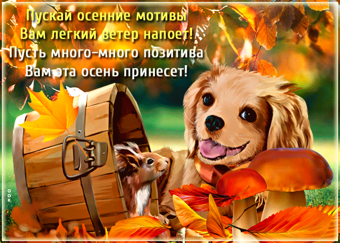 Открытка много позитива вам
