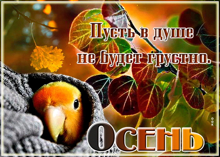Гифка пусть в душе не будет грустно.