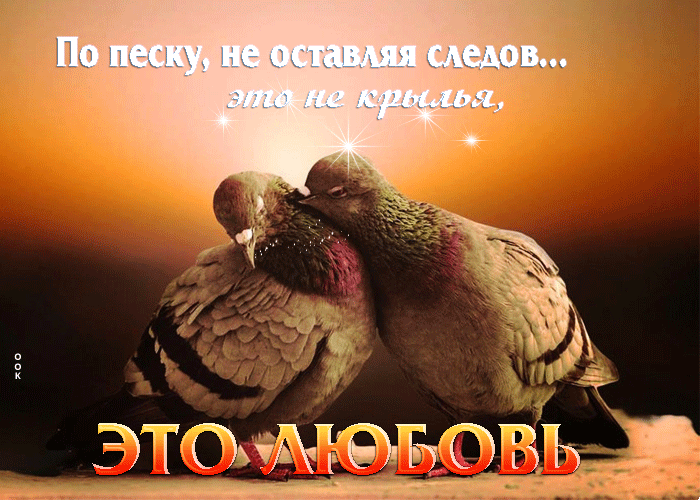 Гифка По песку, не оставляя следов, Это не крылья, это любовь.