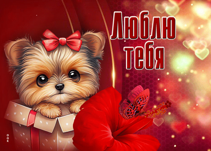 Гифка Нежная и ласковая открытка Люблю тебя.