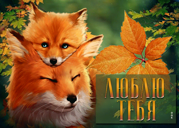 Яркая и красивая открытка с лисичками Люблю тебя