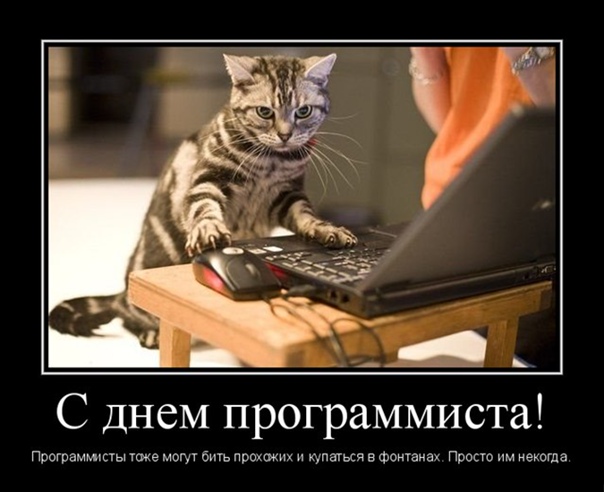 ТОП 40 бесплатных открыток и картинок День Программиста .