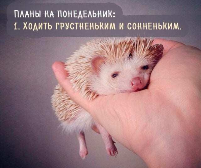 Утро после выходных картинки.