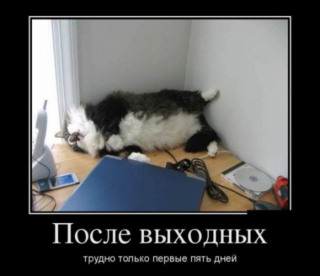 С Первым Рабочим Днем Картинки Красивые.