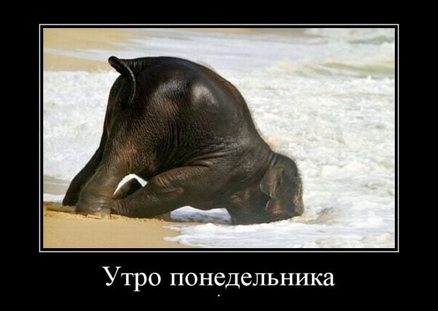 Демотиваторы про работу прикольные