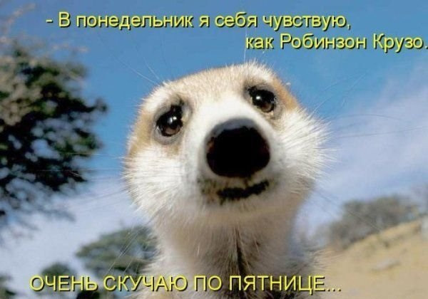 С 1 Рабочим Днем Картинки.