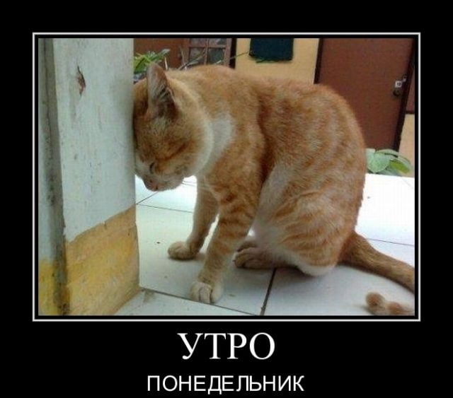 Смешные поздравления с первым рабочим днем.