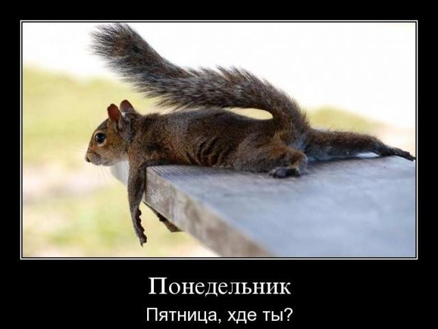 Аврал На Работе Картинки Смешные