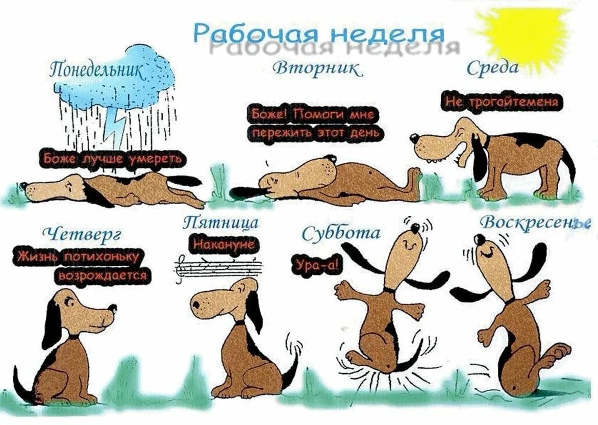 Прикольные открытки с началом рабочей недели (50 фото).