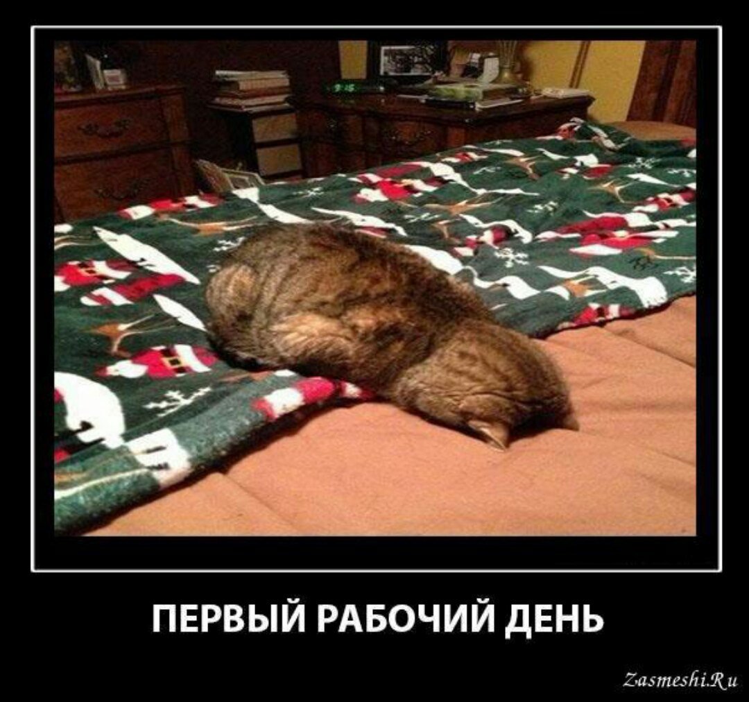Открытка поздравление с первым рабочим днем.