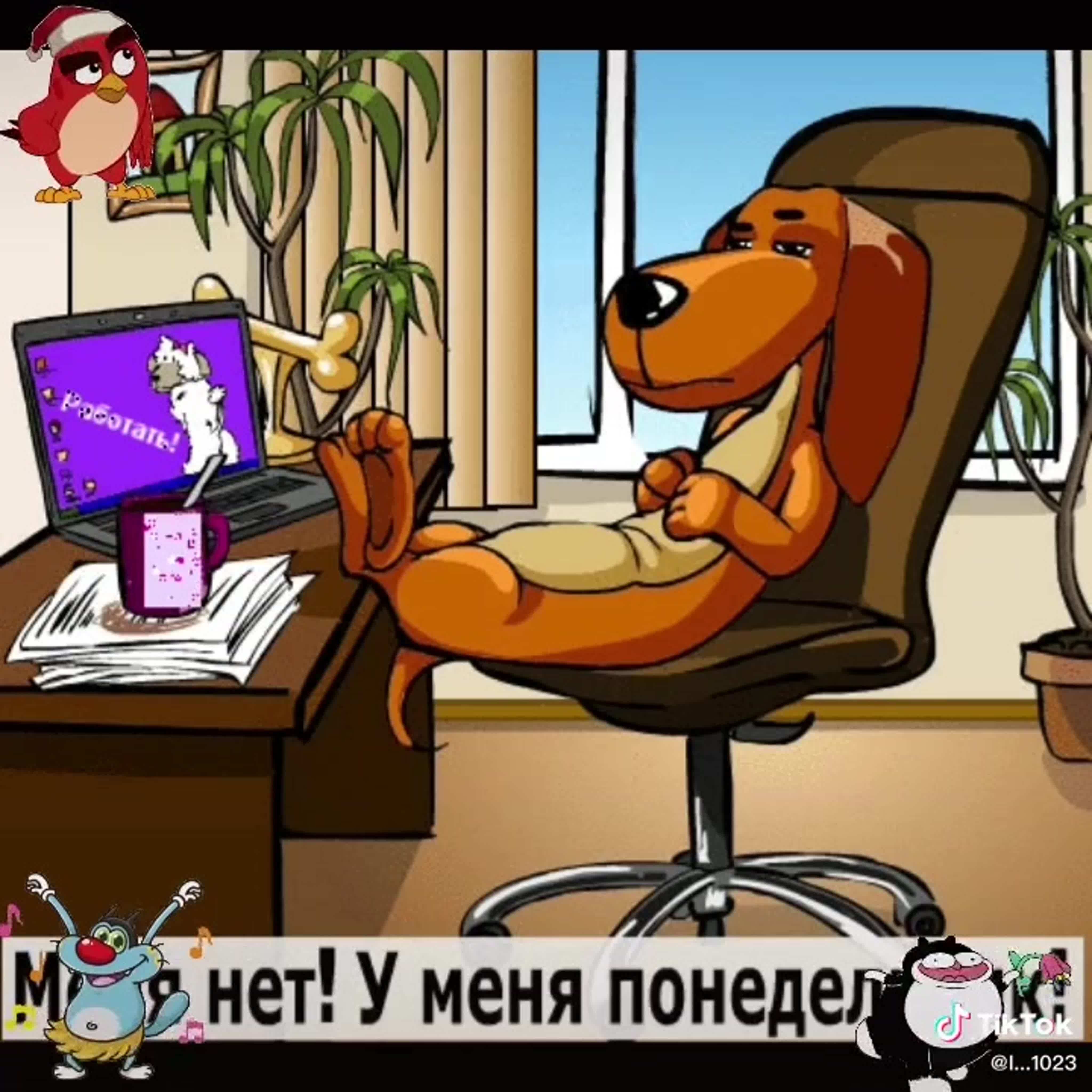 Приколы про дни недели в картинках