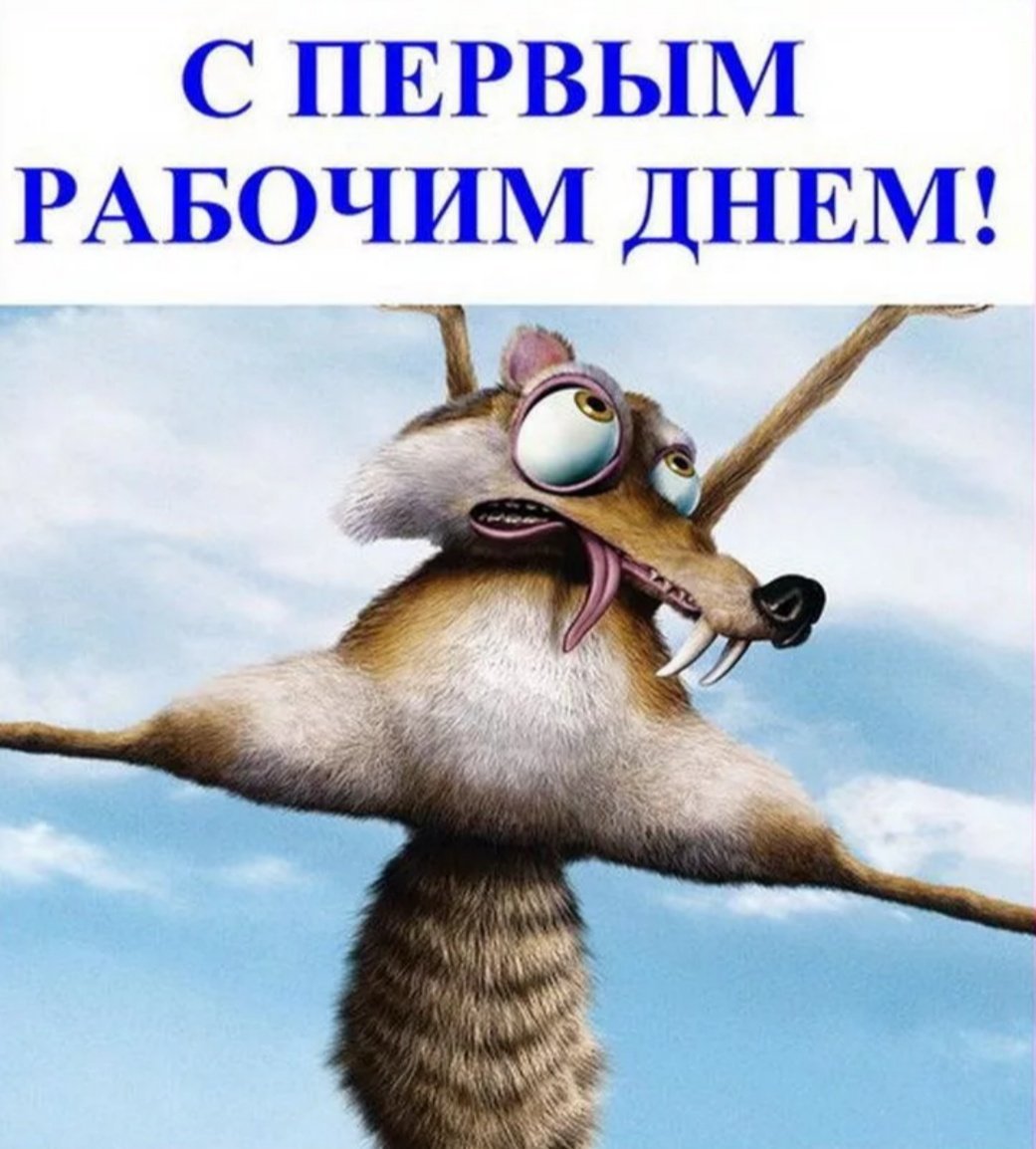 Удачного Первого Рабочего Дня Картинки (50 фото).