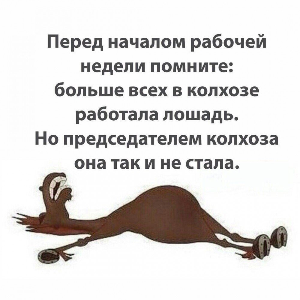 Понедельник юмор, Понедельник приколы.