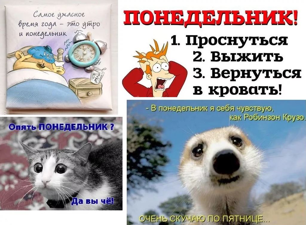 Смешные открытки с первым рабочим днем.