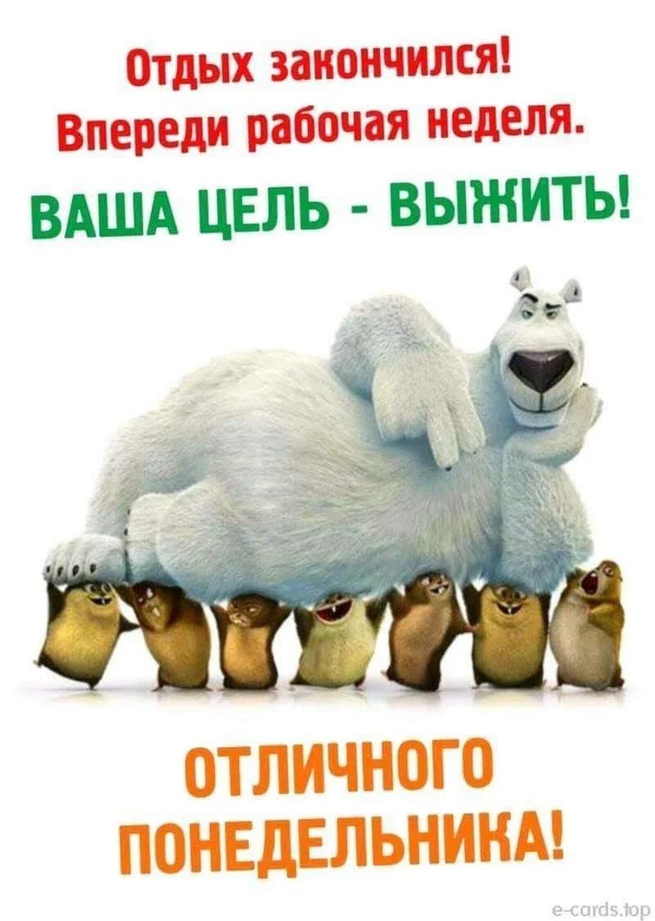 Отличной рабочей недели прикольные картинки.